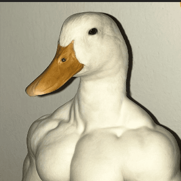 Unrated photo example